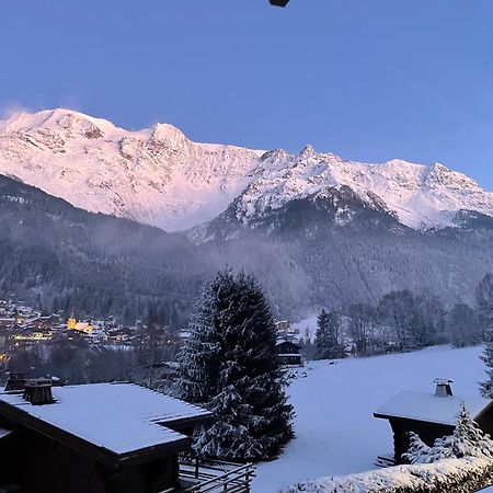 Chalet Cristal II レ・コンタミンヌ・モンジョワ エクステリア 写真