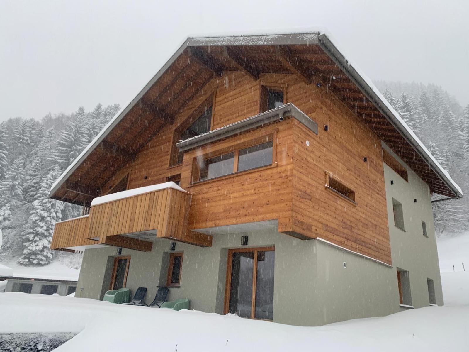 Chalet Cristal II レ・コンタミンヌ・モンジョワ エクステリア 写真